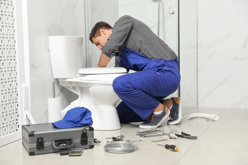 Toilet Installation in New Deal